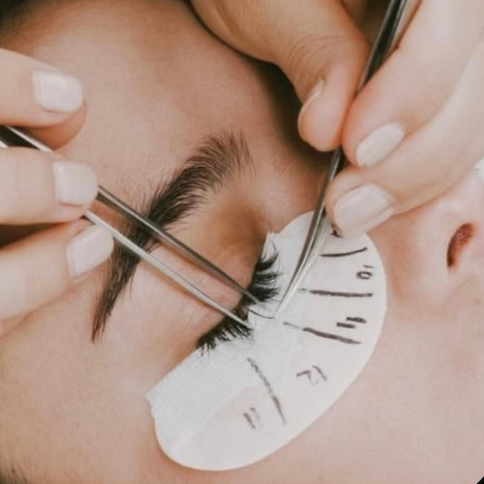 Classics Foundation Lash Course